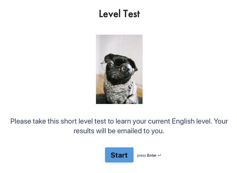 Why you need a level test to take an English course